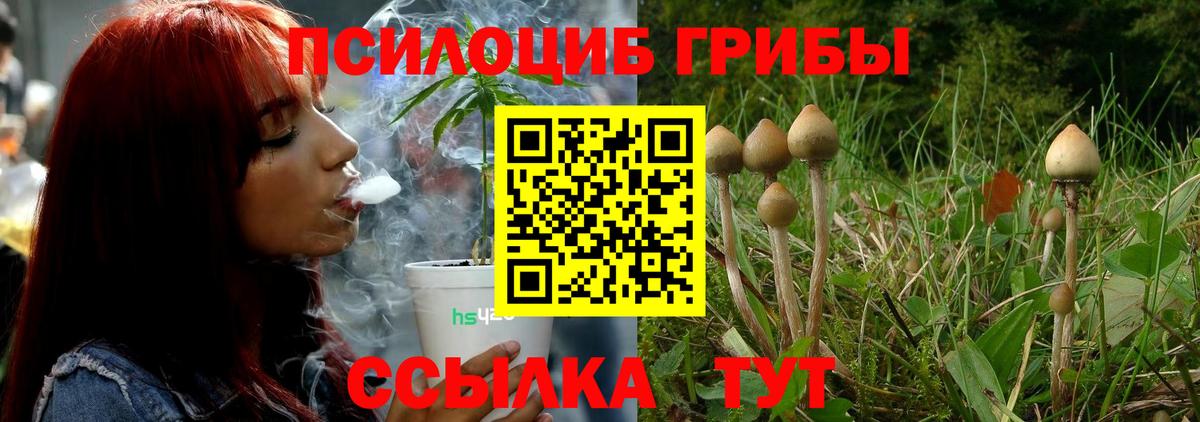 Павлово  Псилоцибиновые грибы GOLDEN TEACHER  Галлюциногенные грибы GOLDEN TEACHER  Вход с VPN 